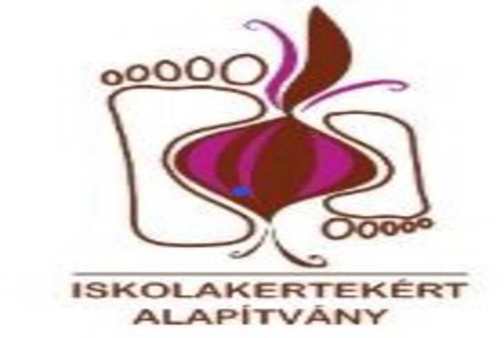 Iskolakert plyzat 2019-2021.